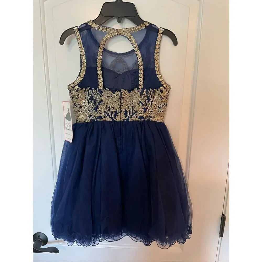 Rare Editions Girl's Mesh Embroidered Floral Sleeveless Dress Blue Gold Size 10 - Picture 2 of 5